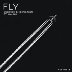 Fly (feat. Maliah) Song Lyrics
