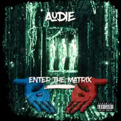 Enter the Matrix by Audie album reviews, ratings, credits