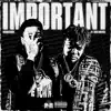 IMPORTANT (feat. Bino Rideaux) - Single album lyrics, reviews, download