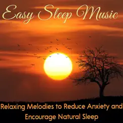 Easy Sleep Music: Relaxing Melodies to Reduce Anxiety and Encourage Natural Sleep by Easy Sleep Music, Baby Sleep Dreams & RelaxingRecords album reviews, ratings, credits