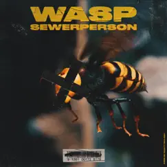 Wasp - Single by Sewerperson & Scottysplash album reviews, ratings, credits