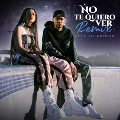 No Te Quiero Ver (Remix) Song Lyrics