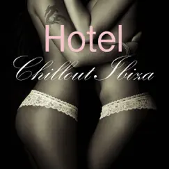 Hotel Chillout Ibiza: Chill Lounge Air Bar Sueno del Mar Collection (Compiled by Astro Moon Ibiza 2012 DJ) by Lounge Safari Buddha Chillout do Mar Café album reviews, ratings, credits
