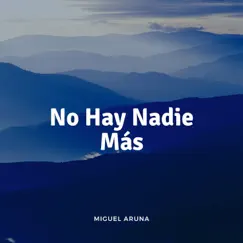 No Hay Nadie Más Song Lyrics