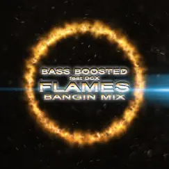 Flames (feat. DCX) [Bangin' Mix] Song Lyrics