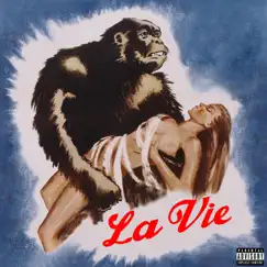 Gorillaz (feat. KA$H, Folabi Xan & dndSection) Song Lyrics