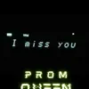 I Miss You (Prom Queen) - Single album lyrics, reviews, download