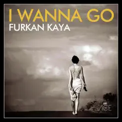 I Wanna Go - Single by Furkan Kaya album reviews, ratings, credits
