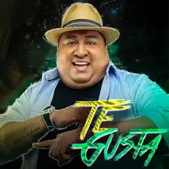 Te Gusta - Single by RD Maravilla album reviews, ratings, credits