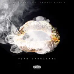 Puro Cannagars - Single by Brian J album reviews, ratings, credits