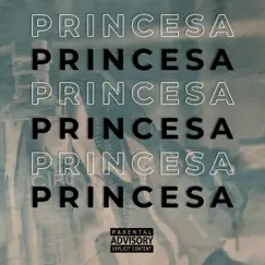 Princesa - Single by Yung K album reviews, ratings, credits