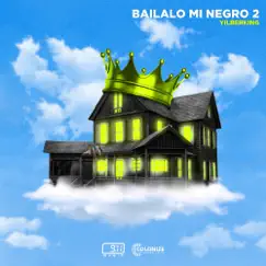 Bailalo Mi Negro 2 Song Lyrics