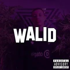Walid - Single by LNM&DLF album reviews, ratings, credits