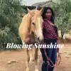 Blowing Sunshine - Single album lyrics, reviews, download