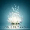 Lotus Blossom - Lotus Relaxation Yoga Music album lyrics, reviews, download