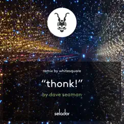 Thonk! (Remixes) - Single by Dave Seaman album reviews, ratings, credits