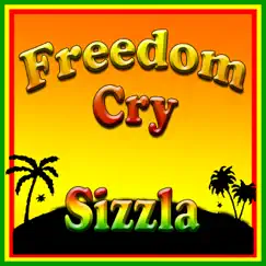 Freedom Cry by Sizzla album reviews, ratings, credits