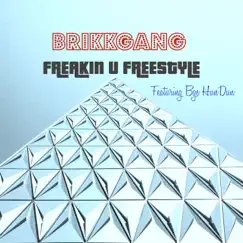 Freakin U Freestyle (feat. Bge HunDun) Song Lyrics
