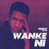 Wanke Ni (feat. Dj AB) - Single album lyrics, reviews, download