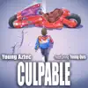 Culpable (feat. Young Quis) - Single album lyrics, reviews, download
