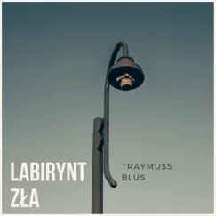 Labirynt Zła (feat. Blus) - Single by Traymuss album reviews, ratings, credits