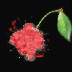 Cherry Bomb - Single by B-Train album reviews, ratings, credits