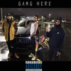 Gang Here (feat. BoBo, Leeskeet Honcho & K.Murph) Song Lyrics