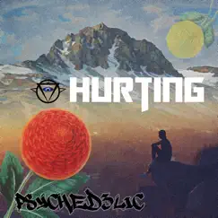 Hurting Song Lyrics