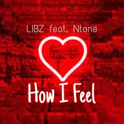 How I Feel (feat. Ntone) Song Lyrics