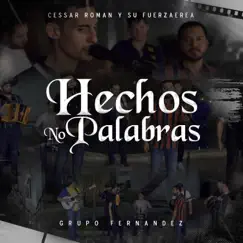 Hechos No Palabras - Single by Cessar Roman y Su Grupo FuerzAerea & Grupo Fernández album reviews, ratings, credits