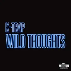 Wild Thoughts Song Lyrics