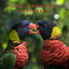 Deep Jungle sounds Song Lyrics