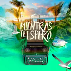 Mientras Te Espero - Single by Vaes album reviews, ratings, credits