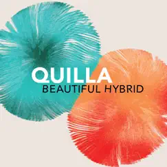 Beautiful Hybrid by Quilla album reviews, ratings, credits