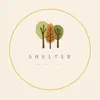 S H E L T E R - Single album lyrics, reviews, download