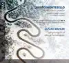 Mahler: Verein für Musikalische Privataufführungen, Vol. 4 - Symphony No. 4 / Kindertotenlieder album lyrics, reviews, download