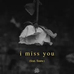 I miss you (feat. Snøw) Song Lyrics