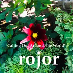 Calling out Around the World (Radio Edit) Song Lyrics