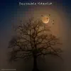 Invisible Starlit - Single album lyrics, reviews, download