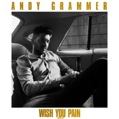 Wish You Pain (Radio Edit) - Single by Andy Grammer album reviews, ratings, credits