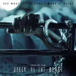 See What You've Done (From The Film Belly Of The Beast) Song Lyrics