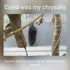 Covid Was My Chrysalis (feat. MC Wild Mountain Honey) Song Lyrics