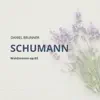 Schumann: Waldszenen op.82 album lyrics, reviews, download