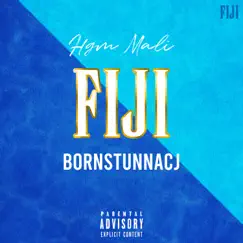 Fiji (feat. BornStunnaCj & HGM Mali) Song Lyrics