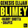 Blimey - Single album lyrics, reviews, download