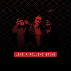 Like a Rolling Stone - Single by The Next Movement album reviews, ratings, credits