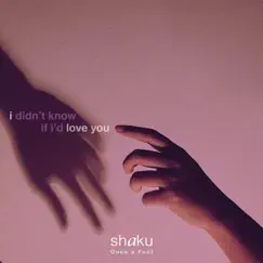 I Didn't Know If I'd Love You Song Lyrics