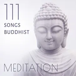 Healing Music (Yin Yoga Poses) Song Lyrics