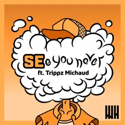 SEe you never (feat. Trippz Michaud) Song Lyrics