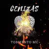 Cenizas - Single album lyrics, reviews, download